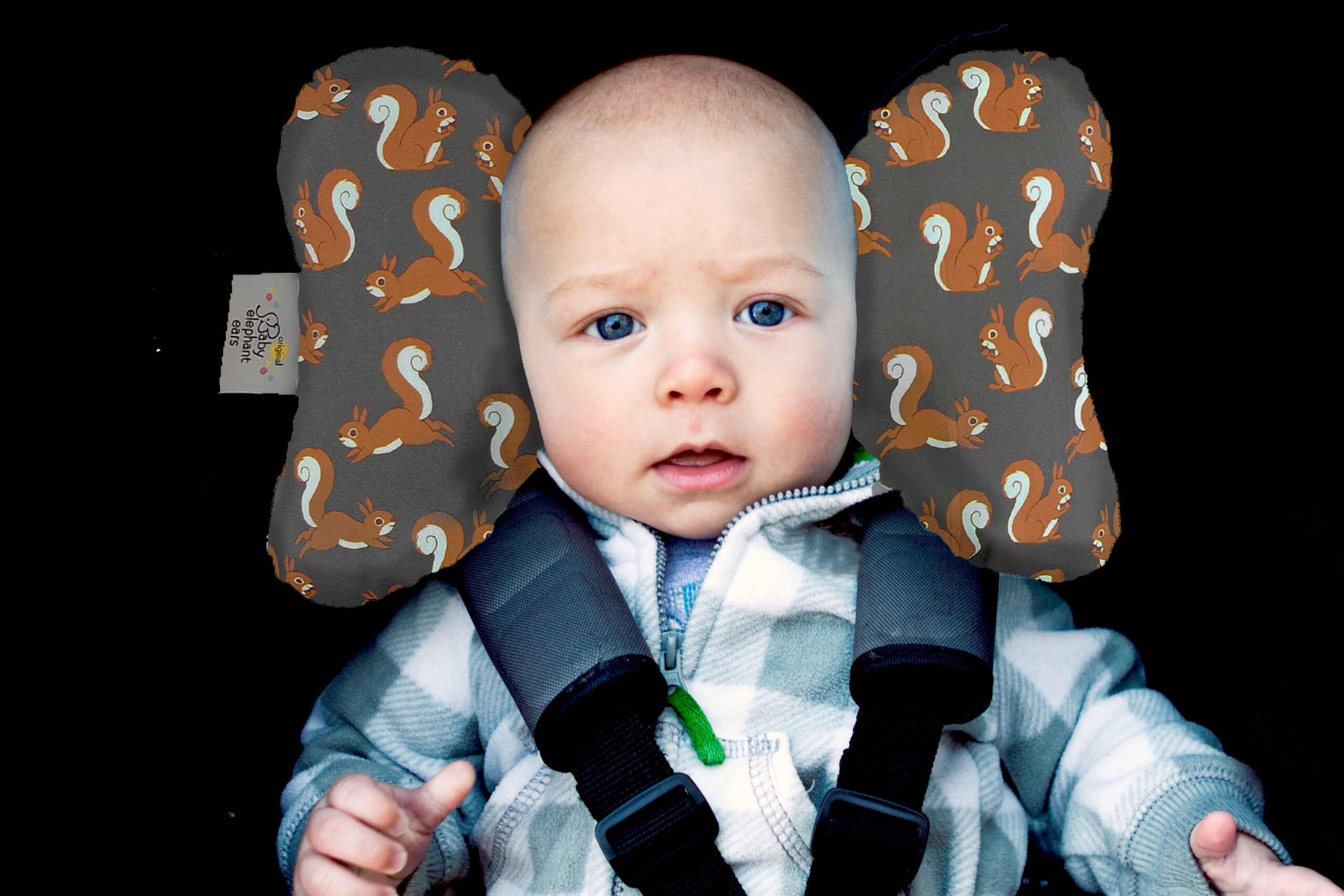 コレクション画像